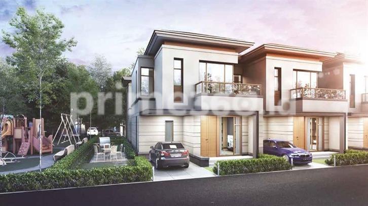 image project Lavon 1