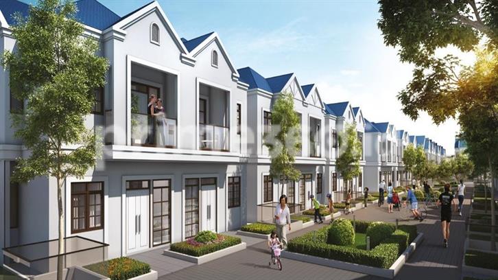 image project Lavon 2