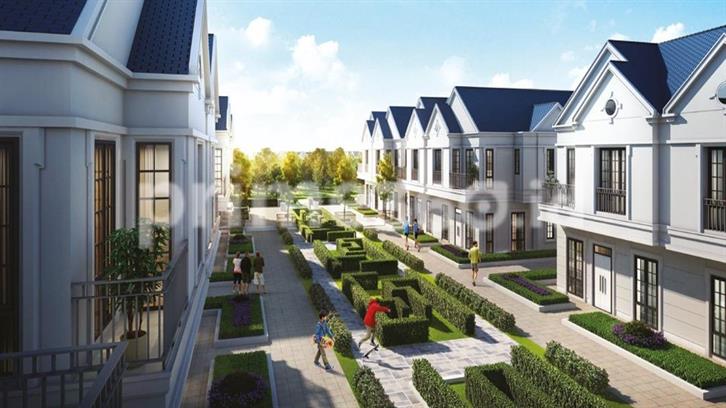 image project Lavon 2