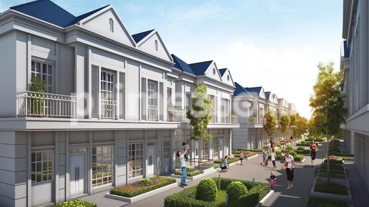 image project Lavon 2